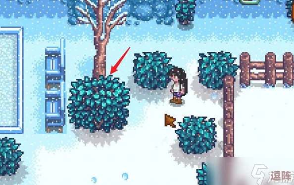 《星露谷物语》冬日谜团全攻略：解锁暗影人秘密，探索冬日冒险新玩法