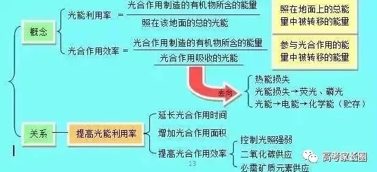深入探讨西方137大但人文艺的发展历程及其影响因素分析