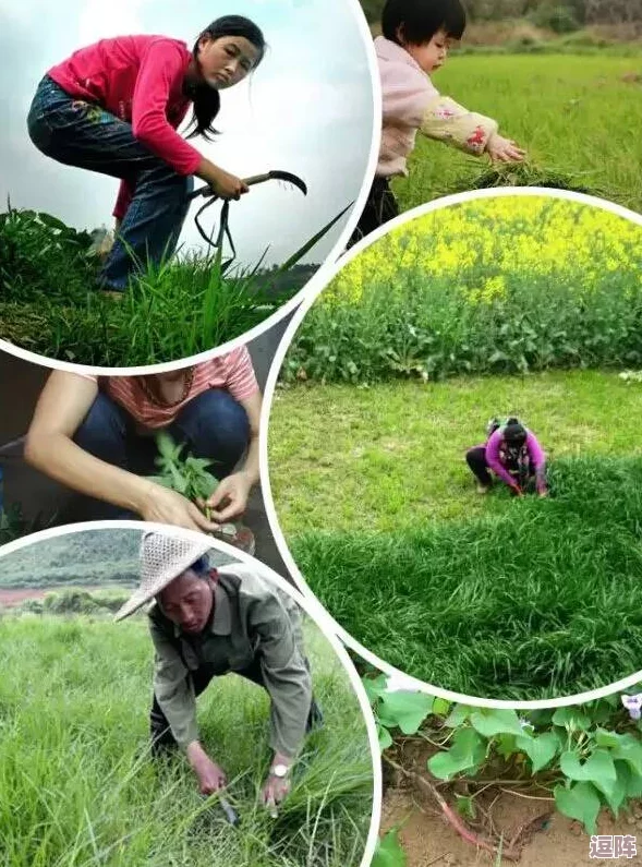 理解需要爸爸播种子的重要性，培养孩子成长的土壤与未来希望