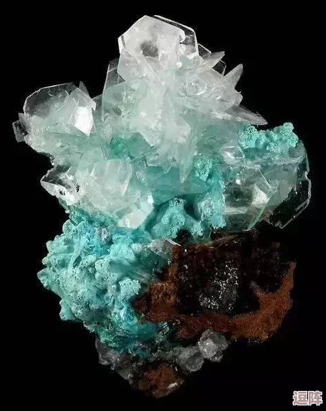 “苏州粉色晶体”在当地市场的绝美魅力与消费者赞誉令人惊叹，焕发出前所未有的吸引力