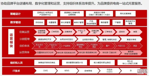 91成人版抖音：如何在社交平台中平衡娱乐与内容的健康性，吸引更多用户关注？