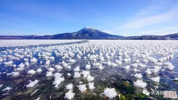 苏州粉色晶体：网友热议其独特美感，称赞如梦似幻的视觉体验，纷纷表示想亲自去一探究竟！