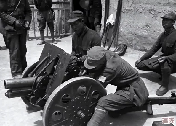 揭秘搡老女人老91妇女沈阳故事背后的现实挑战与社会反思 揭秘搡老女人老91妇女沈阳故事背后的现实挑战与社会反思