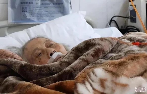 揭秘搡老女人老91妇女沈阳故事背后的现实挑战与社会反思 揭秘搡老女人老91妇女沈阳故事背后的现实挑战与社会反思