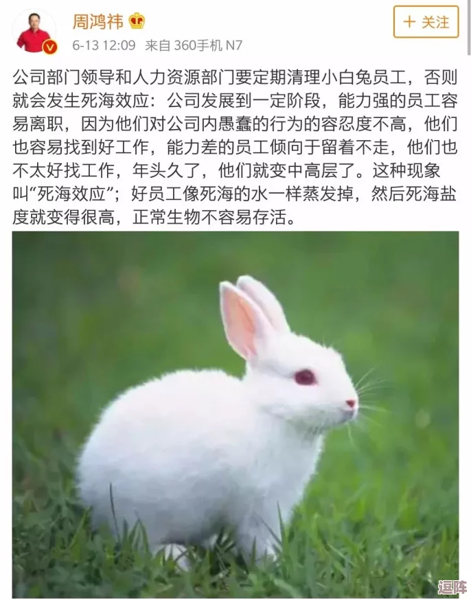 老师的大白兔:网友热议这只可爱的兔子,纷纷表示想要带回家一起玩耍,真是太萌了! 老师的大白兔:网友热议这只可爱的兔子,纷纷表示想要带回家一起玩耍,真是太萌了!