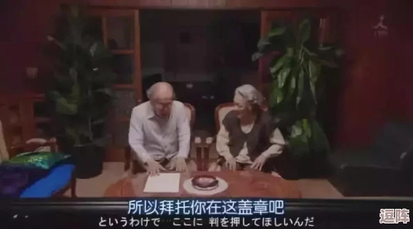 深度解析日本文化的奥秘：69熟年人的幸福与智慧之道