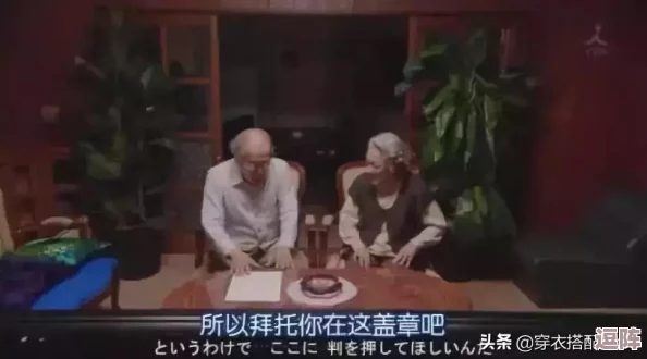 深度解析日本文化的奥秘：69熟年人的幸福与智慧之道