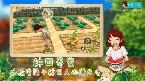 2024年度热门必玩!彩虹堂小游戏精选TOP5,趣味横生不容错过! 2024年度热门必玩!彩虹堂小游戏精选TOP5,趣味横生不容错过!