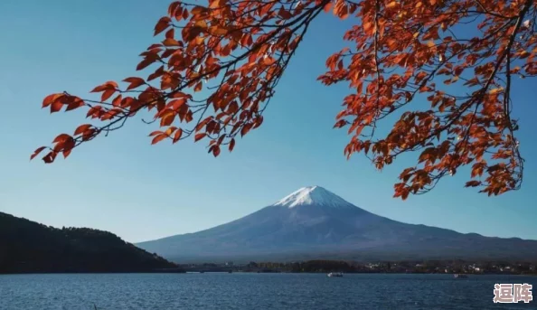 18WWWW日本:深度解析其文化魅力与独特风情,带你领略不一样的旅行体验 18WWWW日本:深度解析其文化魅力与独特风情,带你领略不一样的旅行体验