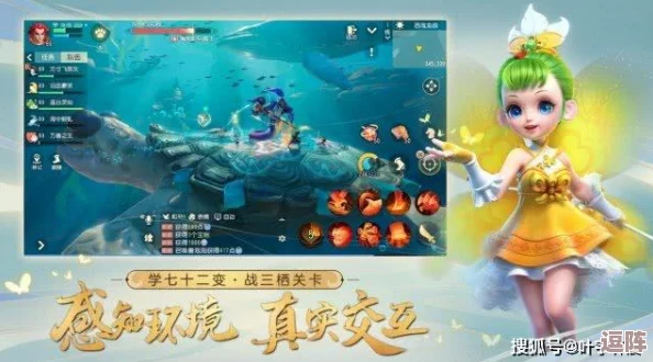 《梦幻西游》全角色大：奇幻之旅的伙伴与英雄汇总