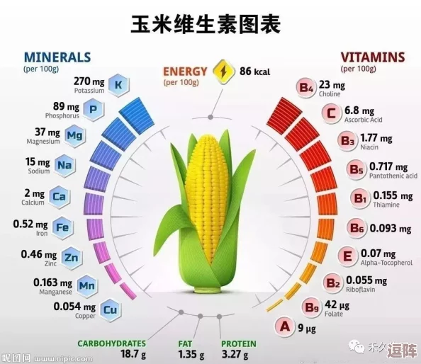 手游文曲挑战：鲜玉米中隐藏的天然维生素宝藏——哪种最丰富？