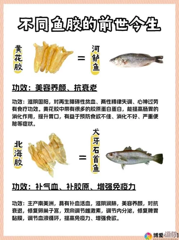 美国人与动物胶配方大全:详解各种动物胶的成分、用途及制作技巧,助你掌握传统与现代胶水配方技巧 美国人与动物胶配方大全:详解各种动物胶的成分、用途及制作技巧,助你掌握传统与现代胶水配方技巧