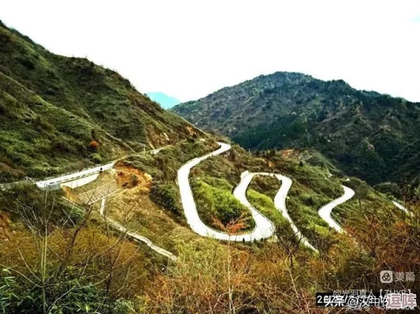 蜀门手游2023职业选择指南:最新热门与强势职业推荐 蜀门手游2023职业选择指南:最新热门与强势职业推荐