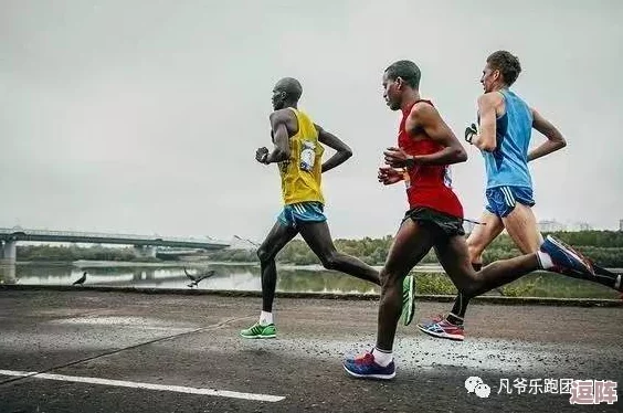 黑土腿法的娴熟:传统技艺与现代应用的完美结合,挖掘其历史渊源与创新发展潜力 黑土腿法的娴熟:传统技艺与现代应用的完美结合,挖掘其历史渊源与创新发展潜力