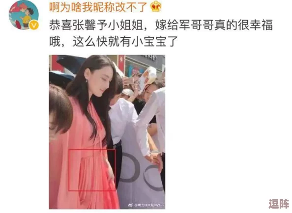 黑土怀孕训练游戏：网友热议其真实性与趣味性，是否能真正帮助玩家理解育儿过程？