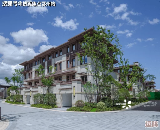 2024汤姆视频的最新网名：深入理解其背后的创意与意义