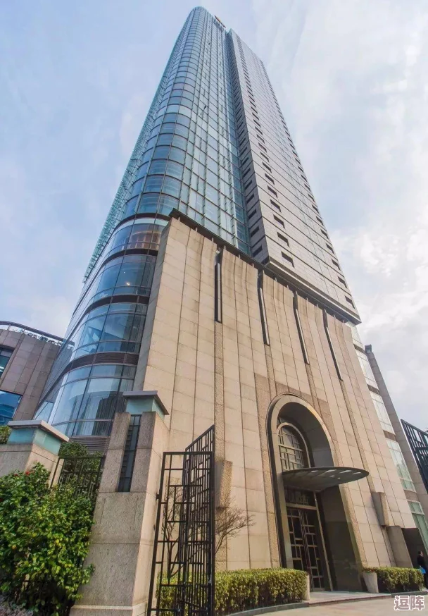 2024汤姆视频的最新网名：深入理解其背后的创意与意义