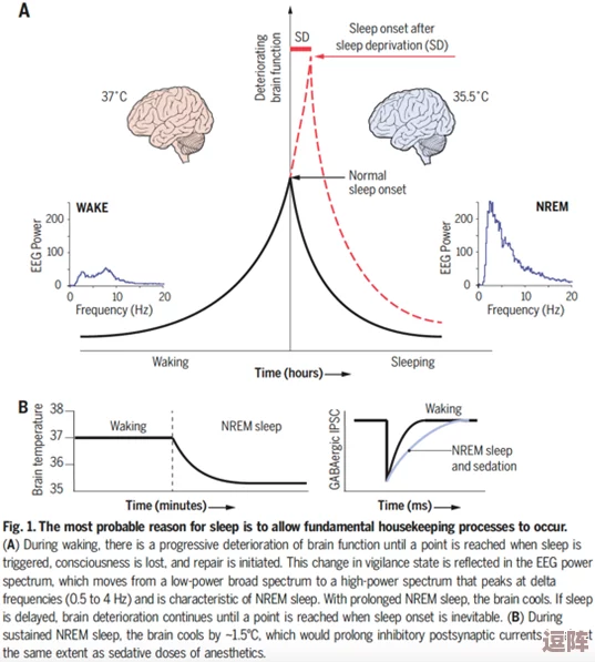 趴着量体温打针陆沉 - 解读趴着测量体温的科学原理及其在医疗中应用的重要性与影响 趴着量体温打针陆沉 - 解读趴着测量体温的科学原理及其在医疗中应用的重要性与影响
