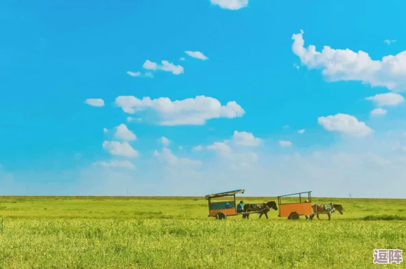 明日之后探险指南：掌握骑马技巧与驯服野马的全过程