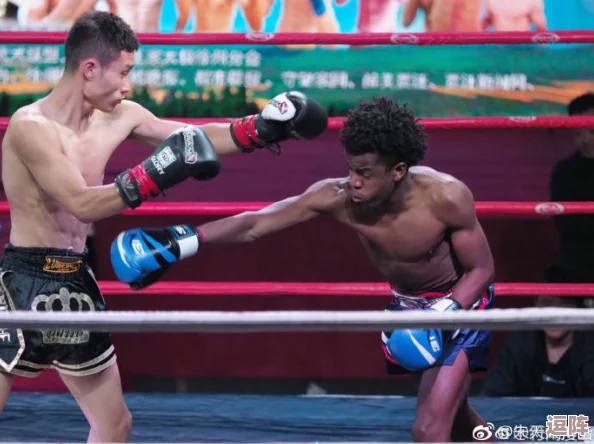 黑土腿法娴熟脚法精湛图片:探讨民间艺术技法与传统文化的传承与创新 黑土腿法娴熟脚法精湛图片:探讨民间艺术技法与传统文化的传承与创新