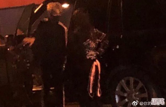吃瓜爆料黑料网曝门：某知名明星被拍到与神秘人士深夜密会，疑似恋情曝光引发热议！