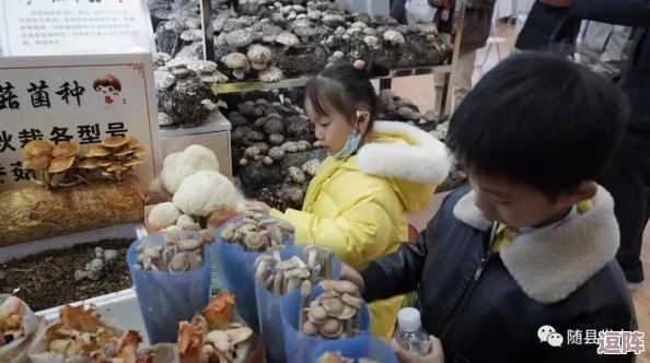 黄冈地区免费网站推广平台：传闻某知名企业将与本地小商家合作，助力免费推广新模式引发热议！