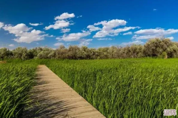 芦苇荡里的母爱:某女星被曝在湖边秘密会晤神秘男子,疑似私生活惊人内幕揭露 芦苇荡里的母爱:某女星被曝在湖边秘密会晤神秘男子,疑似私生活惊人内幕揭露