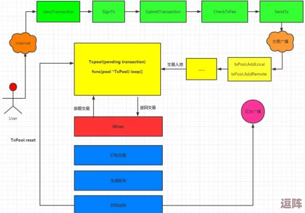 老徐帮小雅排毒：了解排毒的重要性与科学方法，如何通过饮食与生活方式改善身体健康