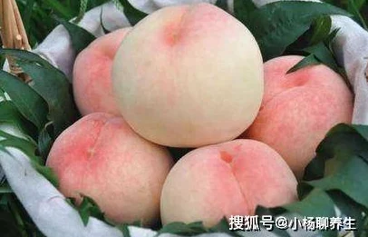 水蜜桃12：了解水蜜桃的生长特点、营养成分与美味食用方法，提升你的水果享受体验
