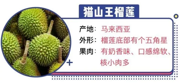 榴莲视频黄色现象引发热议,多角度解析其文化背景与社会影响,影响力遍及年轻群体与在线平台 榴莲视频黄色现象引发热议,多角度解析其文化背景与社会影响,影响力遍及年轻群体与在线平台