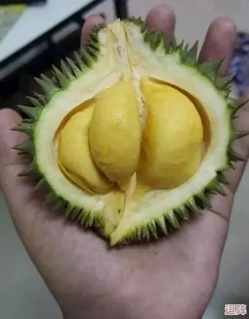 榴莲视频黄色现象引发热议,多角度解析其文化背景与社会影响,影响力遍及年轻群体与在线平台 榴莲视频黄色现象引发热议,多角度解析其文化背景与社会影响,影响力遍及年轻群体与在线平台