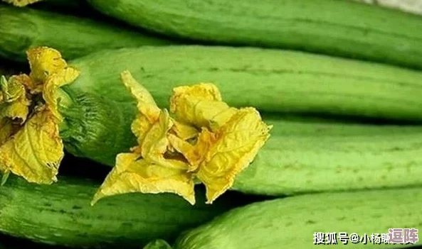 草莓丝瓜芭乐鸭脖奶茶的价格及其市场趋势分析：消费者偏好与购买行为研究